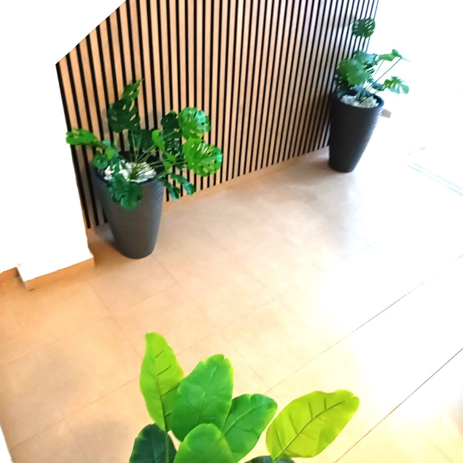 Apartamentos Terrazas De San Juan Málaga Extérieur photo