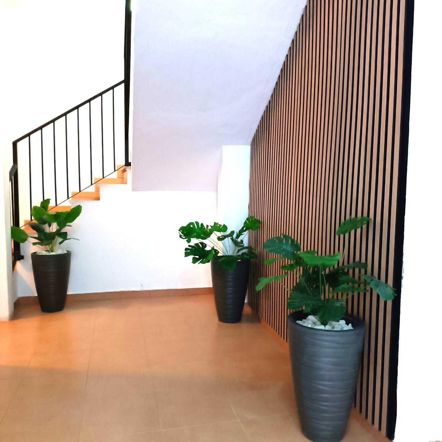 Apartamentos Terrazas De San Juan Málaga Extérieur photo